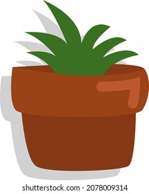 Home plant in pot, illustration, vector, on a white background.