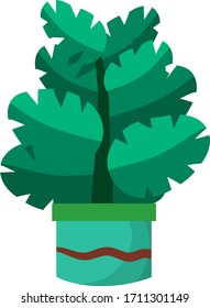 Home plant in pot. Large green leaves.Element of decoration and gardening. Hobbies and flora. Cartoon flat illustration