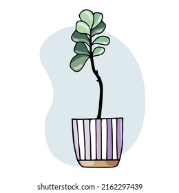 Home plant in a pot on blue background
