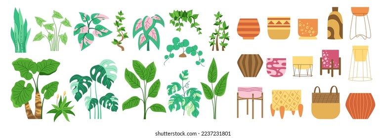 Home plant and pot, trendy decorative cartoon set. Exotic house plant potted houseplants, flowerpot for interior. Botanical house indoor blooming plants, potted ceramic. Urban jungle decor flat vector