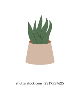 Home plant in a pot. Vector flat illustration on isolated background. 