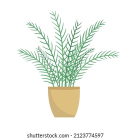 Planta doméstica en una olla. Ilustración vectorial aislada en fondo blanco.