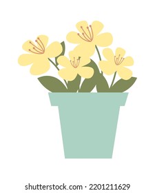 Home Plant in Pot. Vector illustration