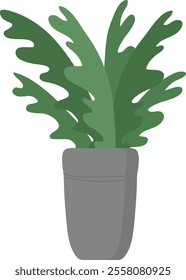 Home Plant In Pot Vector Illustration