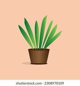 Home plant in the pot. Vector image. Simple and cute