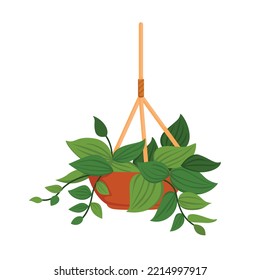 Home Plant Pothos Illustration Vector Clipart