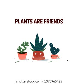 Home plant in pots. Isolated vector set of growing flowers. Planting hobby set. Spring gardening illustration.