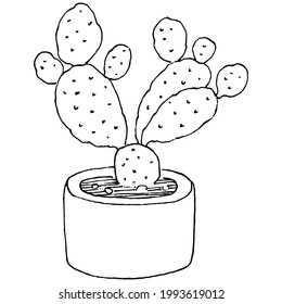 Home Plant in pots sketch. Outline drawing isolated  illustration of growing flowers in a hanging plant for interior home or office decoration. Vector of garden flowers.