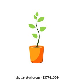 Home plant. Potted sprout with green leaves. Agriculture attributes concept. Vector illustration can be used for topics like gardening, farming, horticulture