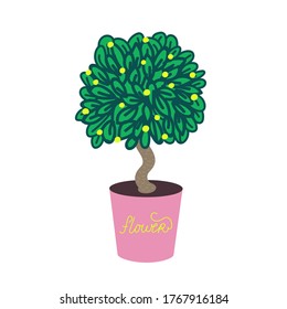 Home plant in a rose pot decorative home plant. Bonsai, a dwarf tree.Tropical indoor flower. Flat vector illustration. Vector illustration