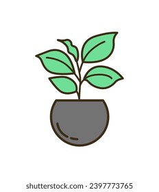 Home plant of set in flat cartoon design. Home plant in a colorful cartoon style, outlined in bold black strokes, bringing a touch of whimsy to indoor greenery. Vector illustration.