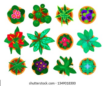 Home plant top view set, houseplants for home interior. Plants grown in a pot indoors. Vector flat style cartoon illustration isolated on white background