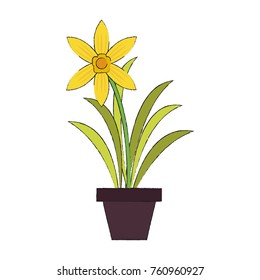 Home plant vase