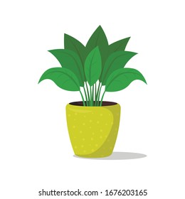 Home plant in a yellow polka dot pot. Flat cartoon style vector illustration.