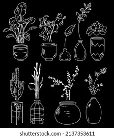 Home plants bohemian bundle. Interior decor vector hand drawn set. Doodle pots and vases collection with cactus, monstera, succulents and leaves. 