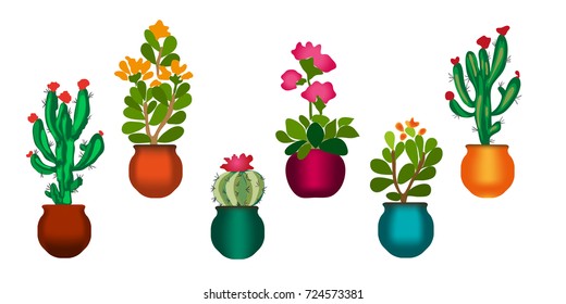 Home plants, cacti and succulents isolated on white background