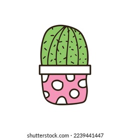 Home plants, cactus in pots and with flowers