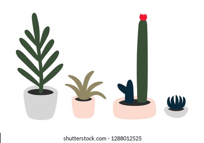Home plants, cactus and succulents in pots. Hand drawn doodles vector illustrarion