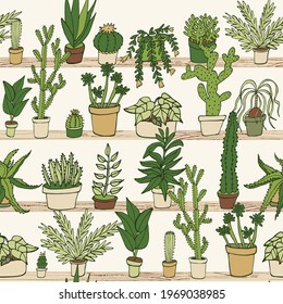 Home plants cactus vector seamless pattern