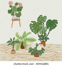 home plants card 