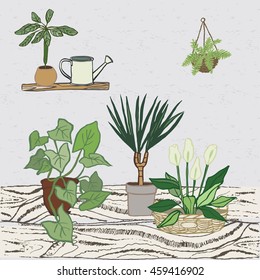 home plants card 