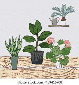 home plants card 