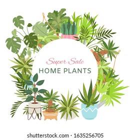 Home plants in circle wreath sale poster vector illustration. Houseplants, indoor and office plants in pot. Dracaena, fern, bamboo, spathyfyllium and orchids, aloe vera with gerbera, snakeplant.