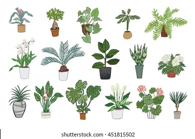 home plants color set