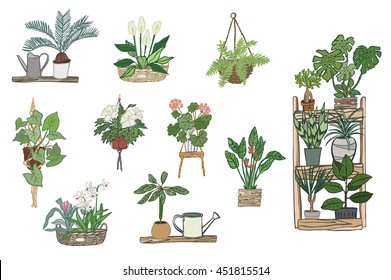 Hanging Flower Pot Images, Stock Photos & Vectors | Shutterstock