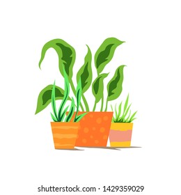 Home plants in colorful pots. Design elements, made at home. Hand drawing style. Growing domestic plants. Vector illustration