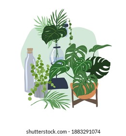 Home plants composition with glass flask and leaves, hand drawn vector flat illustration