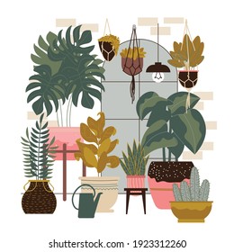 Home plants composition with indoor scenery with window and exotic plants with flowers growing in pots vector illustration