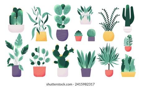 Home plants decoration. Colorful tropical plants for room decoration, exotic foliage in colorful pots for home and office greenery. Vector isolated collection. Garden and indoor decor