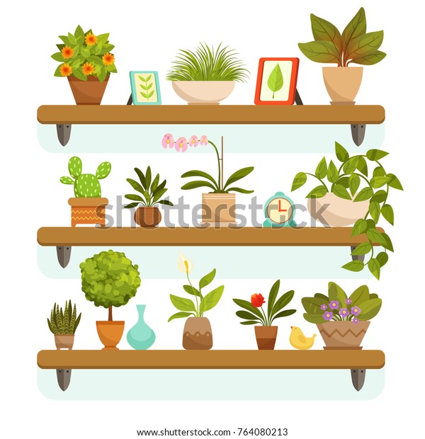 棚の上に立つ 植木や鉢の花の飾り 庭の植木鉢と緑の内装住宅 ベクターイラスト のベクター画像素材 ロイヤリティフリー