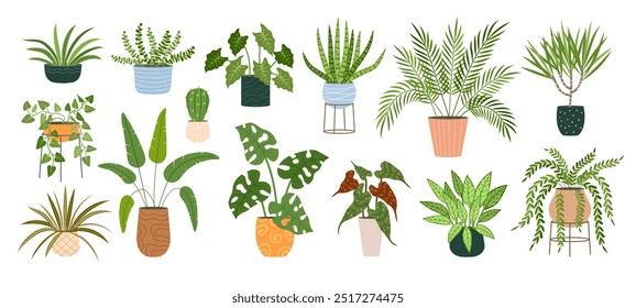 Home plants. Decorative houseplants in pots indoor interior decoration recent vector stylized plants illustrations