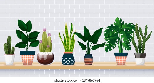 Home plants in decorative pots on shelf against white brick wall. House room decoration design elements. Banner background with copy space. Vector flat cartoon illustration of green potted houseplants