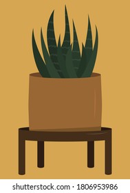 plantas domésticas dibujadas en gráficos vectoriales