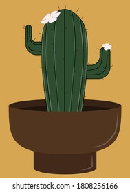 home plants drawn in vector graphics
