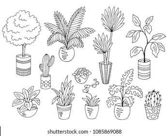 Home plants flower graphic black white isolated sketch set illustration vector