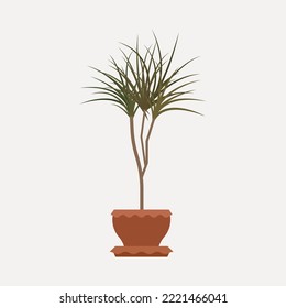 Home plants in a flower pot. House Plants isolated. Urban jungle decor. Hand drawn. Plant illustration. Green Elements