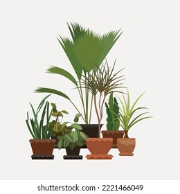 Home plants in a flower pot. House Plants isolated. Urban jungle decor. Hand drawn. Plant illustration. Green Elements