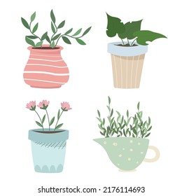 Home plants in flower pot. Houseplants isolated. Trendy hygge style, urban jungle decor. Hand drawn. Set collection. Green, blue, pink, beige pastel colors. Print, poster, banner. Logo, label. Vector.