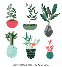 Home plants in a flower pot. Houseplants isolated. Trendy hugge style, urban jungle decor. Drawn by hand. Collection of sets.	