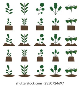 Home plants in flower pots. Isolated houseplants. Trendy hug style, urban jungle decor. Hand drawn. Collection sets. Green, blue, pink, brown, beige pastel colors. Print, poster, banner. Logos, labels