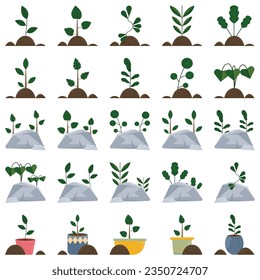 Home plants in flower pots. Isolated houseplants. Trendy hug style, urban jungle decor. Hand drawn. Collection sets. Green, blue, pink, brown, beige pastel colors. Print, poster, banner. Logos, labels