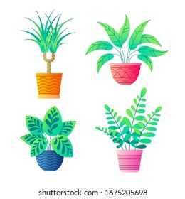 Home plants in flower pots vector collection. Dracaena palm, Peace lily, Сalathea, Zamioculcas or dollar tree. Icon set of potted indoor flowers. Botanical vector illustration.