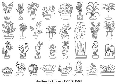 Plantas domésticas en macetas de flores. Vector establecido en el estilo de contorno aislado en blanco. Cacti, suculentos, plantas para la decoración interior.