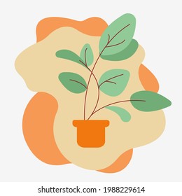 Home plants in flowerpot, houseplant isolated, hand drawn. Flowerpot design.