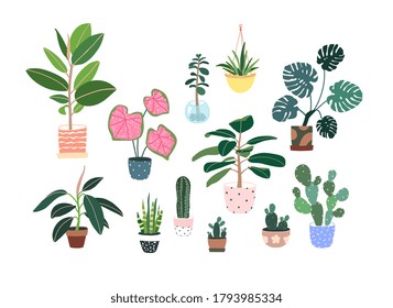 Home plants in flowerpot. Houseplants isolated. Trendy hugge style, urban jungle decor. Hand drawn. Set collection. Green, blue, pink, brown, beige, black colors. Print, poster, banner. Logo, label.