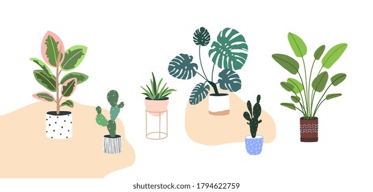 Home plants in flowerpot. Houseplants isolated. Trendy hugge style, urban jungle decor. Hand drawn. Set collection. Green, blue, pink, brown, beige, black colors. Print, poster, banner. Logo, label.